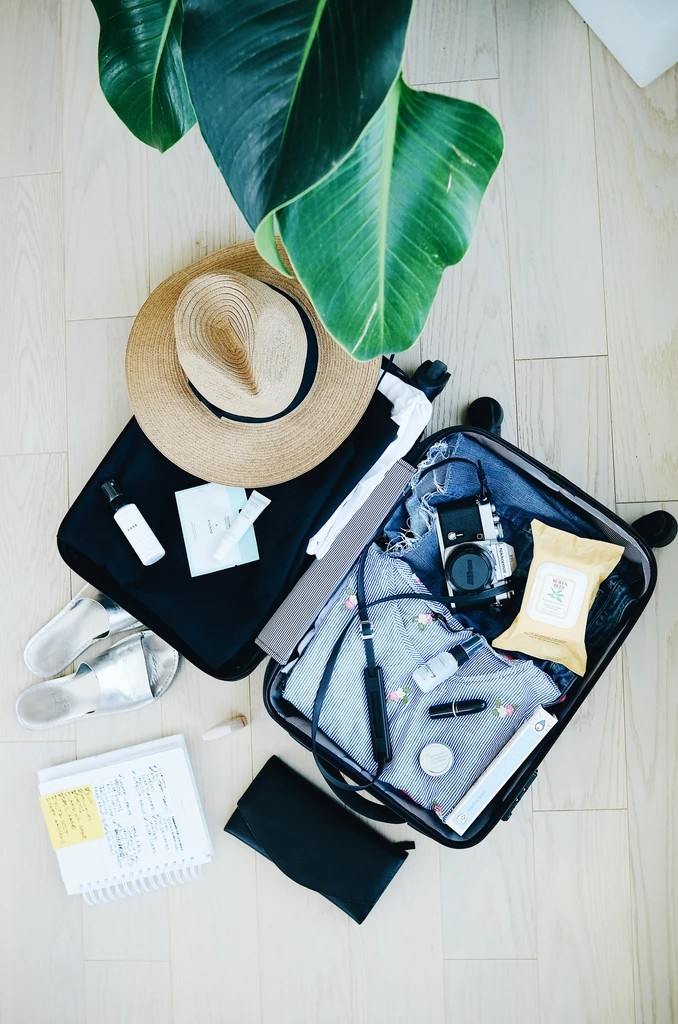 Best Travel Insurance Providers in India 2026