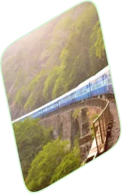 Train crossing a green hillside bridge