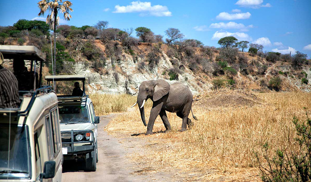 You are currently viewing Which national parks and wildlife sanctuaries are a must-visit?